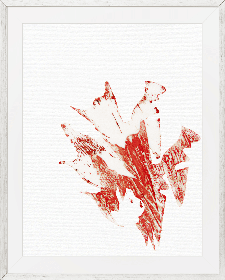 Archery no.2