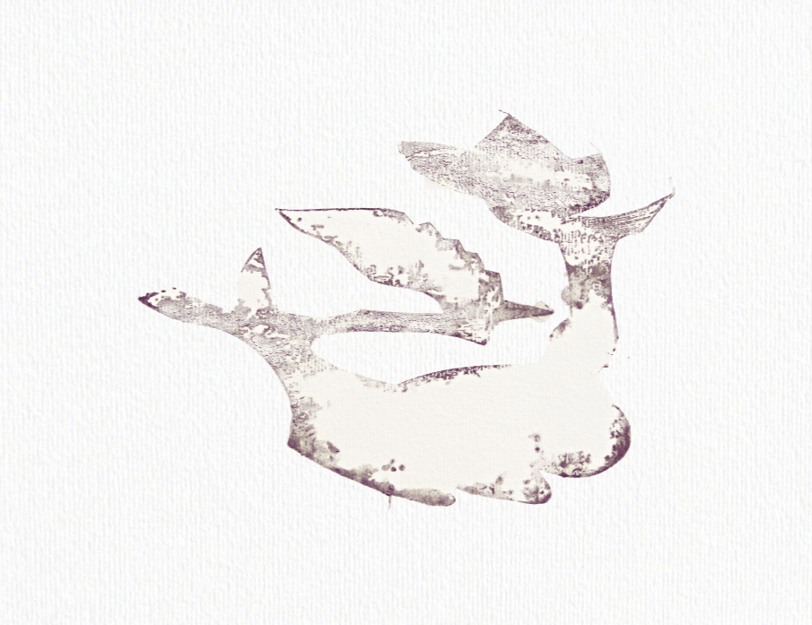 Rubber Seal no.3