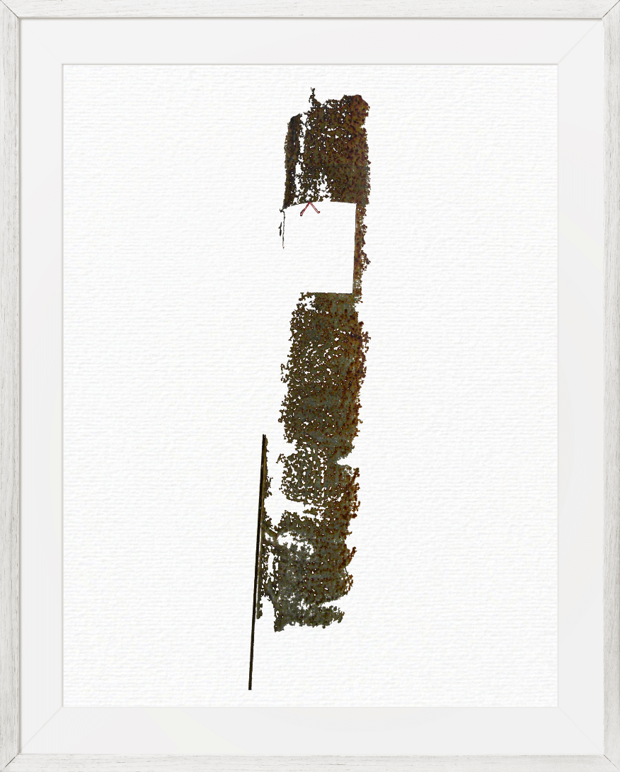 Edition no.2022