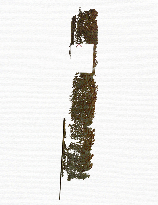 Edition no.2022