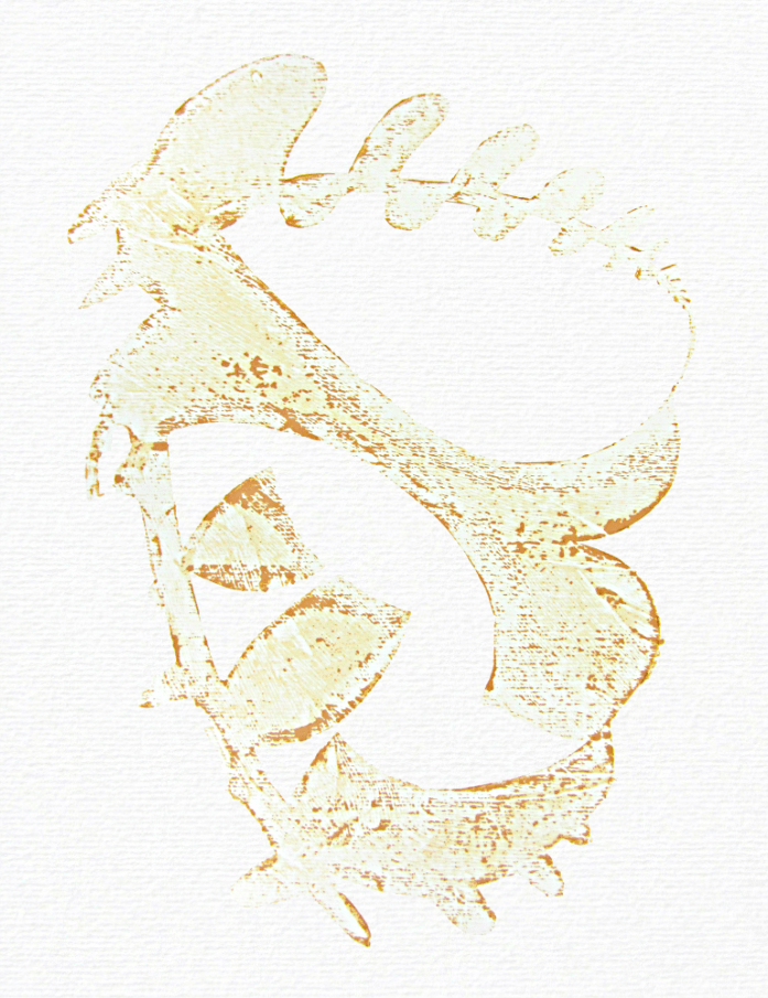 Fossil no.5
