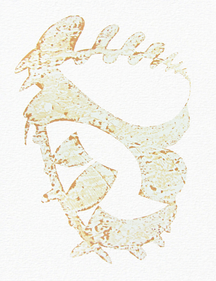 Fossil no.6