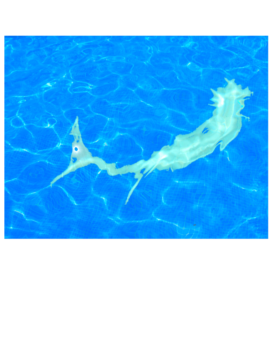 Edition Mermaid