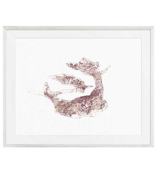 Rubber Seal no.2