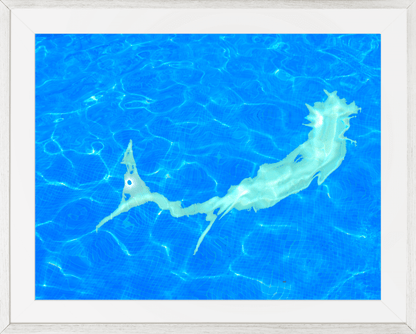 Edition Mermaid