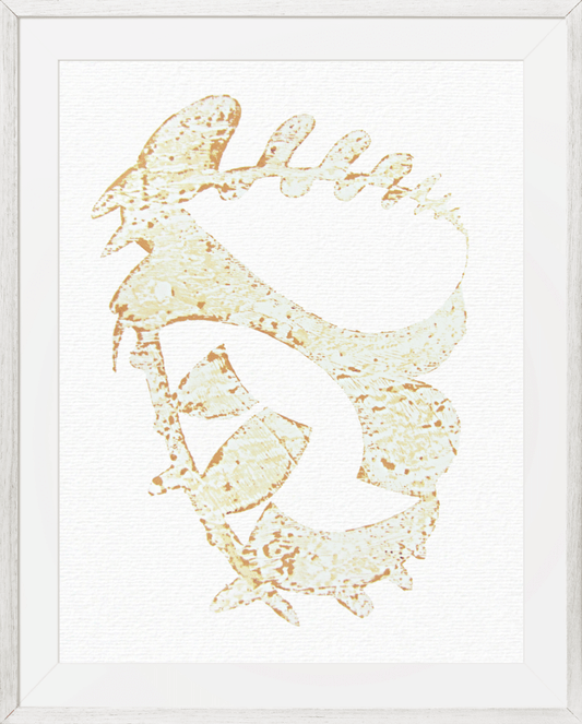 Fossil no.6
